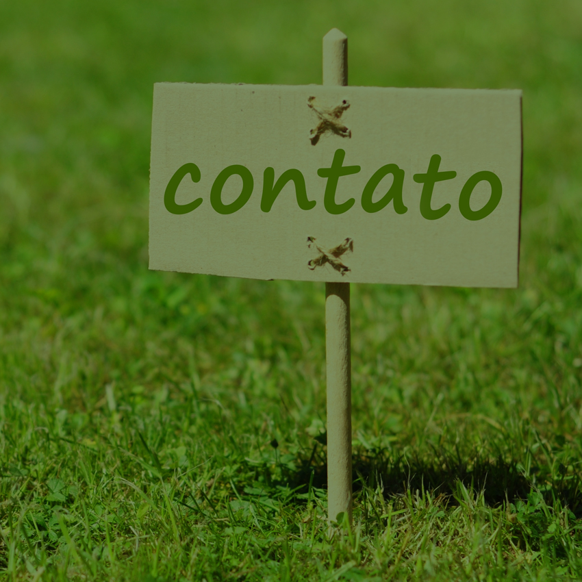 Contato