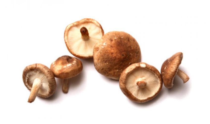 Shitake